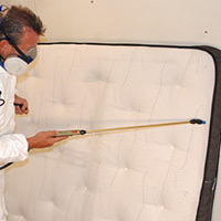 Local Bed Bug Exterminators in West Chicago, IL