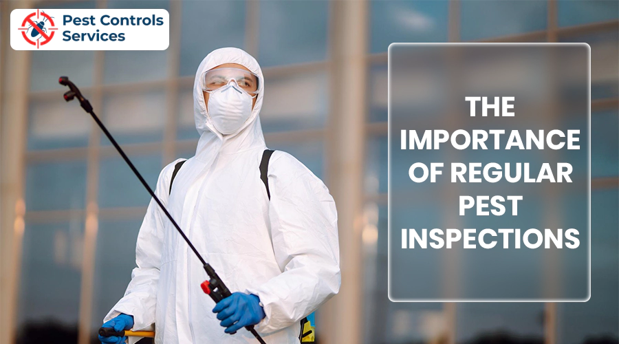 the-importance-of-regular-pest-inspections