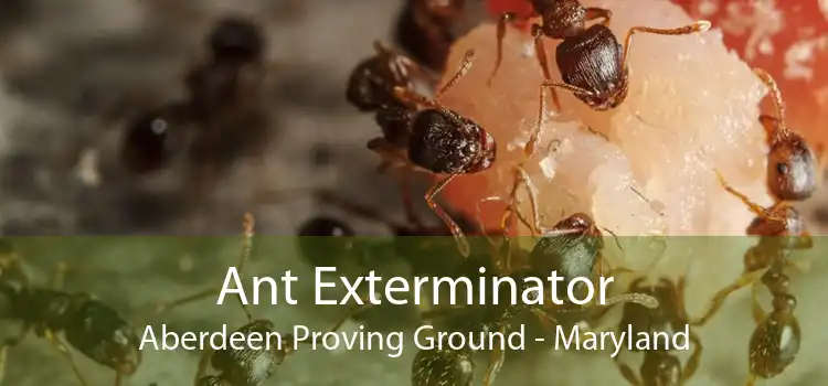 Ant Exterminator Aberdeen Proving Ground - Maryland