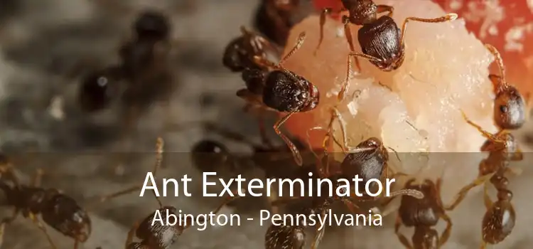 Ant Exterminator Abington - Pennsylvania