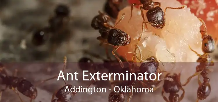 Ant Exterminator Addington - Oklahoma