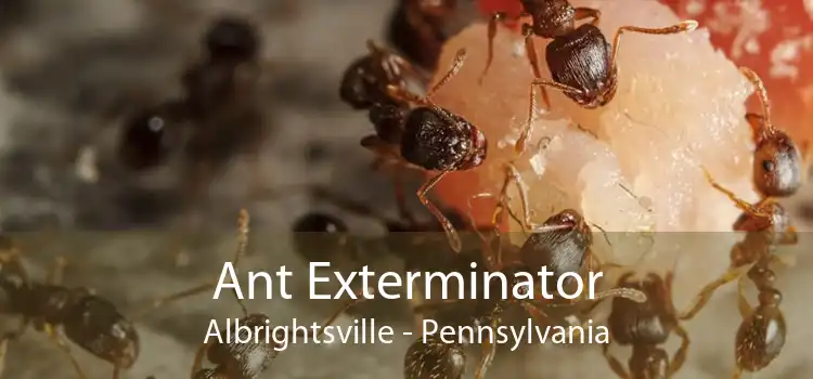 Ant Exterminator Albrightsville - Pennsylvania