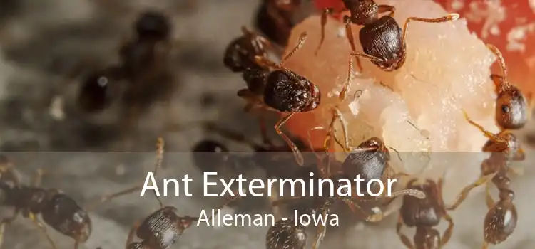 Ant Exterminator Alleman - Iowa