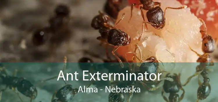 Ant Exterminator Alma - Nebraska