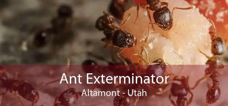 Ant Exterminator Altamont - Utah