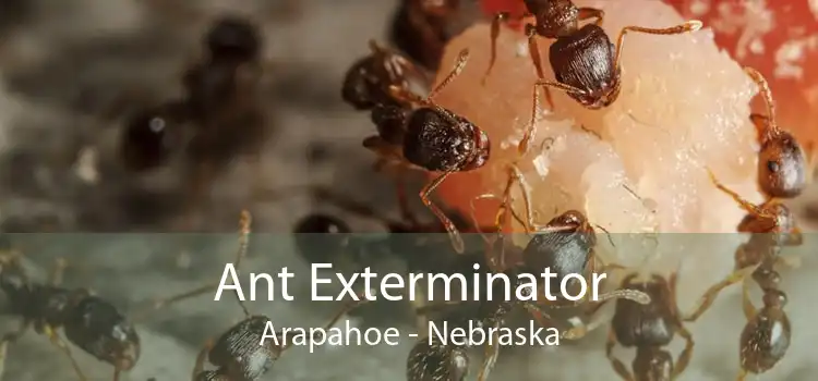 Ant Exterminator Arapahoe - Nebraska