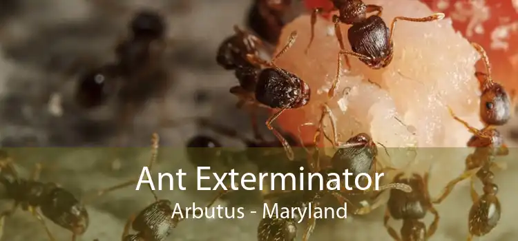Ant Exterminator Arbutus - Maryland