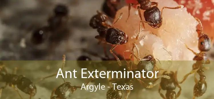 Ant Exterminator Argyle - Texas