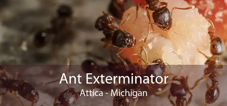 Ant Exterminator Attica - Michigan