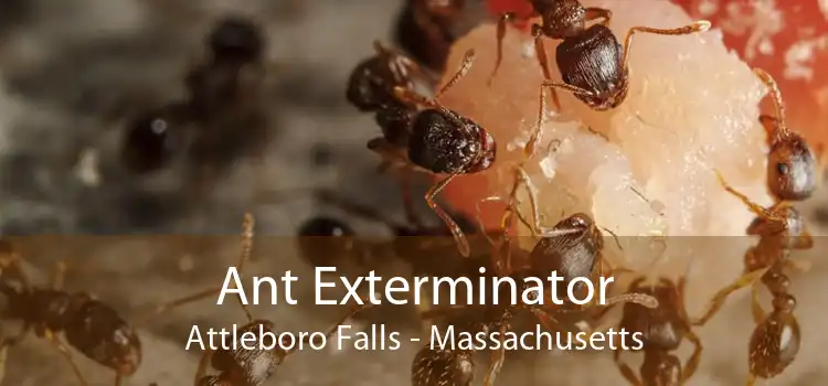 Ant Exterminator Attleboro Falls - Massachusetts