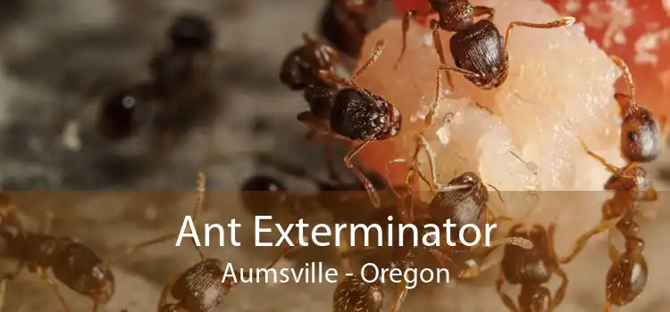 Ant Exterminator Aumsville - Oregon