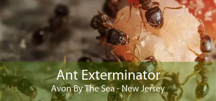 Ant Exterminator Avon By The Sea - New Jersey