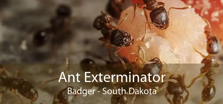 Ant Exterminator Badger - South Dakota