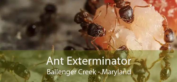 Ant Exterminator Ballenger Creek - Maryland