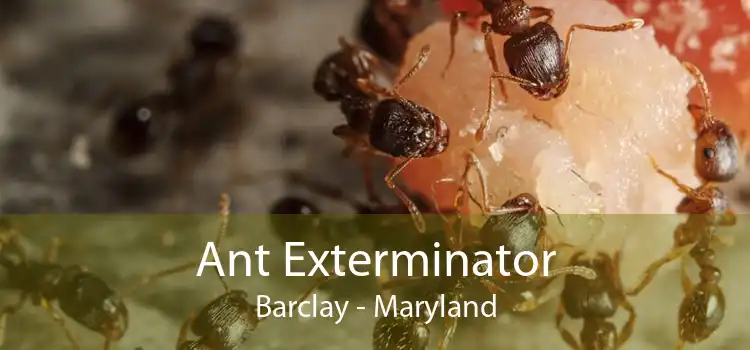 Ant Exterminator Barclay - Maryland