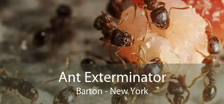 Ant Exterminator Barton - New York