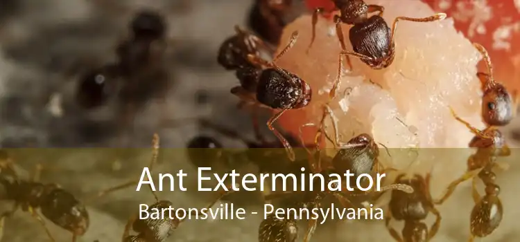 Ant Exterminator Bartonsville - Pennsylvania