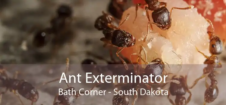 Ant Exterminator Bath Corner - South Dakota