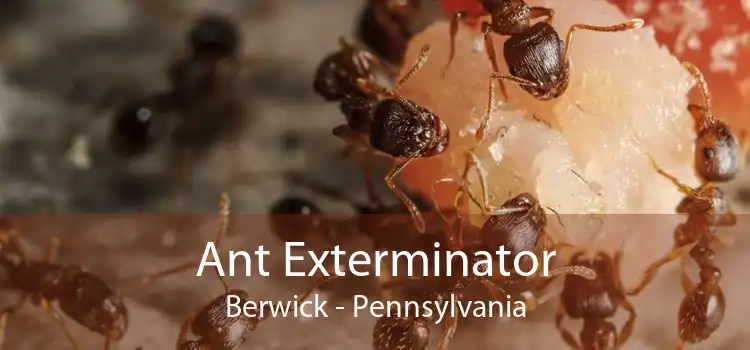 Ant Exterminator Berwick - Pennsylvania