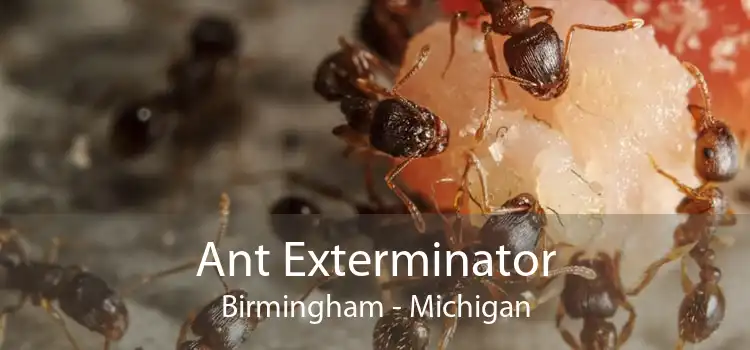 Ant Exterminator Birmingham - Michigan