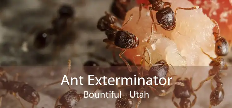 Ant Exterminator Bountiful - Utah
