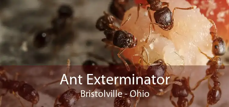 Ant Exterminator Bristolville - Ohio
