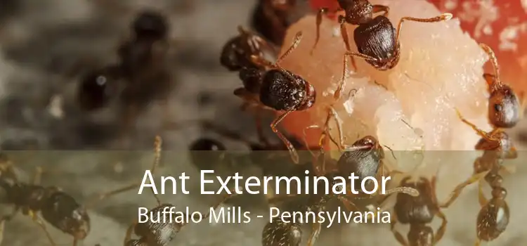 Ant Exterminator Buffalo Mills - Pennsylvania