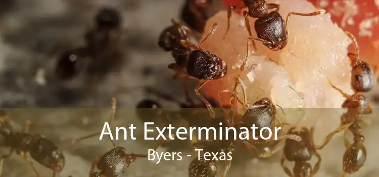 Ant Exterminator Byers - Texas