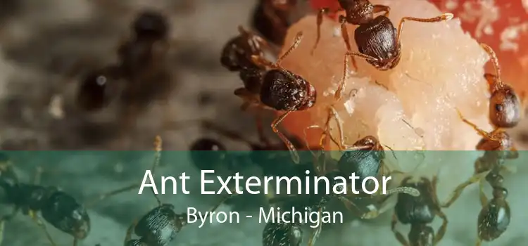 Ant Exterminator Byron - Michigan