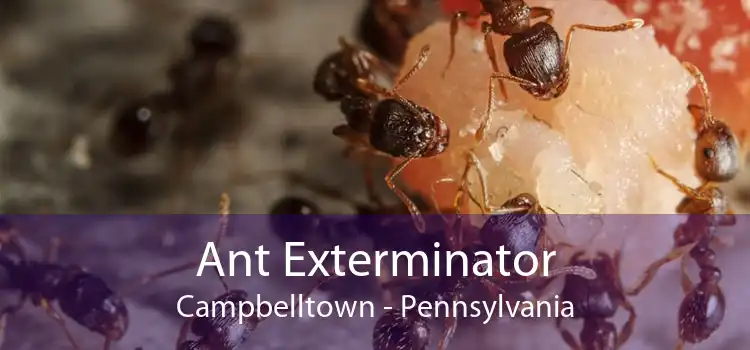 Ant Exterminator Campbelltown - Pennsylvania