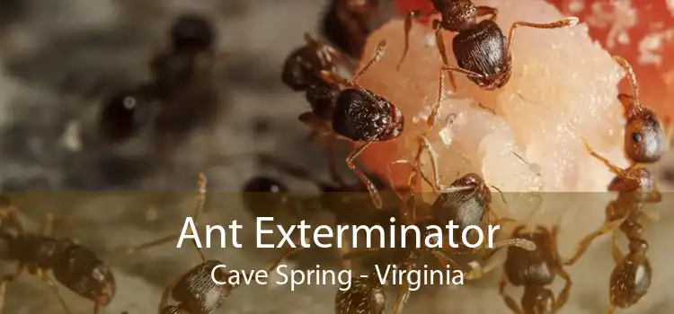 Ant Exterminator Cave Spring - Virginia