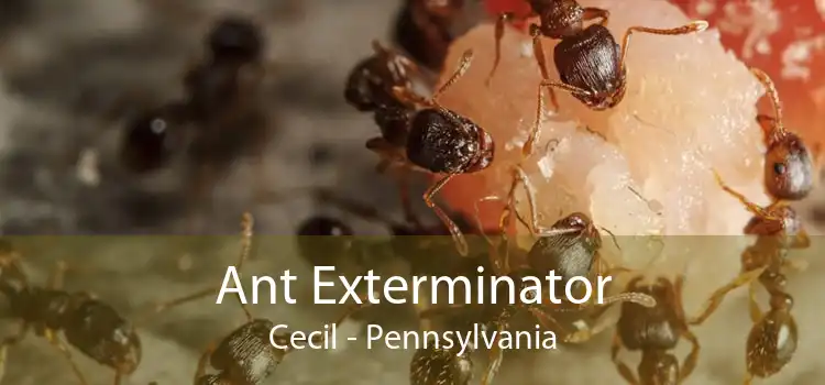 Ant Exterminator Cecil - Pennsylvania