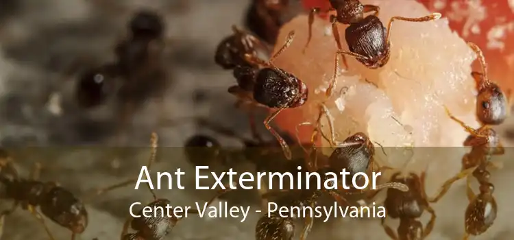 Ant Exterminator Center Valley - Pennsylvania