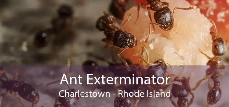 Ant Exterminator Charlestown - Rhode Island