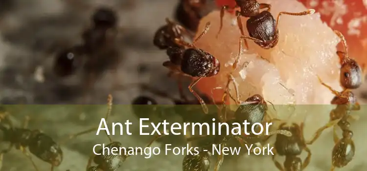 Ant Exterminator Chenango Forks - New York