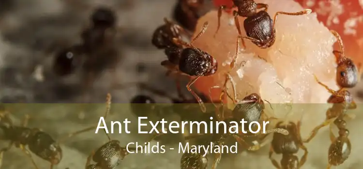Ant Exterminator Childs - Maryland