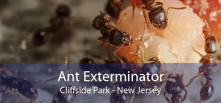 Ant Exterminator Cliffside Park - New Jersey