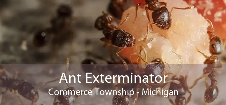 Ant Exterminator Commerce Township - Michigan