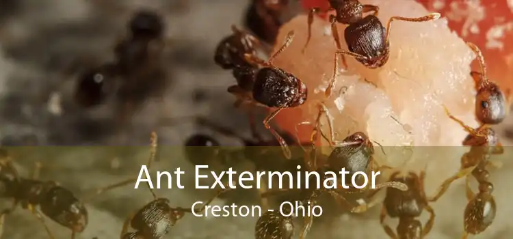 Ant Exterminator Creston - Ohio