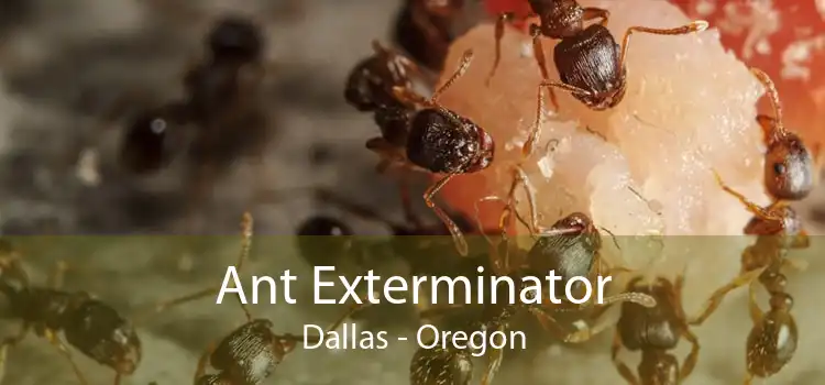 Ant Exterminator Dallas - Oregon