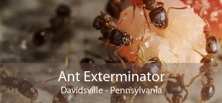 Ant Exterminator Davidsville - Pennsylvania