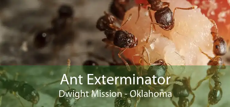 Ant Exterminator Dwight Mission - Oklahoma
