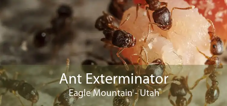 Ant Exterminator Eagle Mountain - Utah