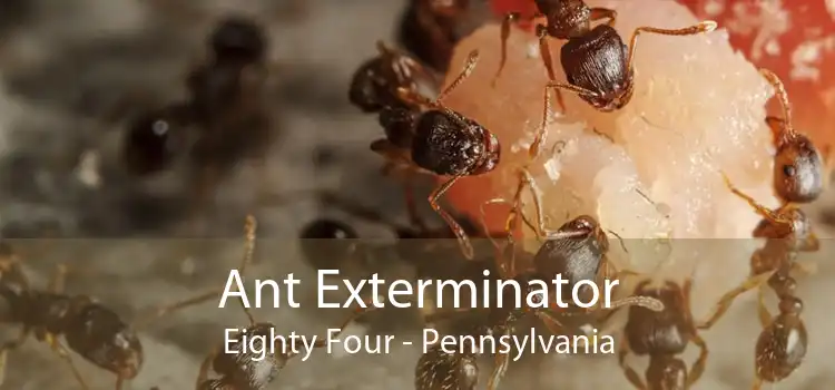 Ant Exterminator Eighty Four - Pennsylvania