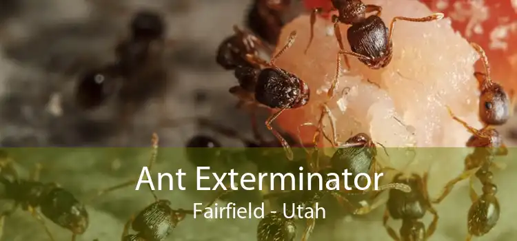 Ant Exterminator Fairfield - Utah