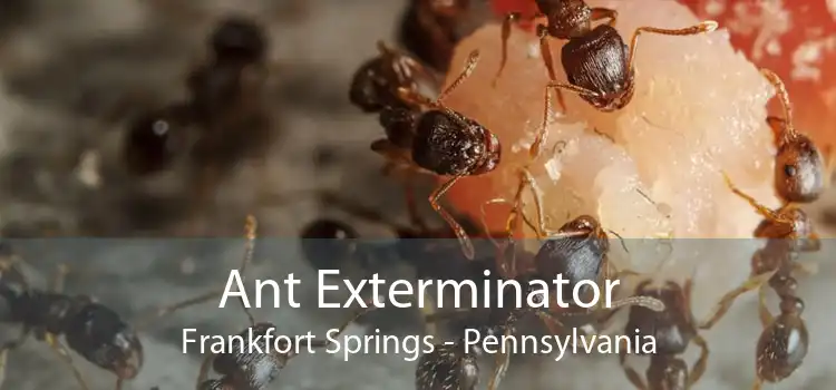 Ant Exterminator Frankfort Springs - Pennsylvania