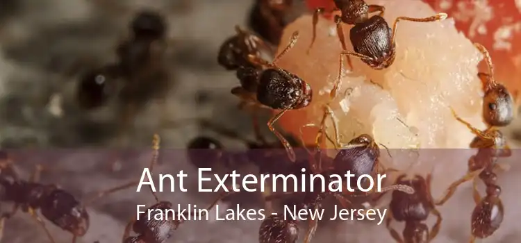 Ant Exterminator Franklin Lakes - New Jersey