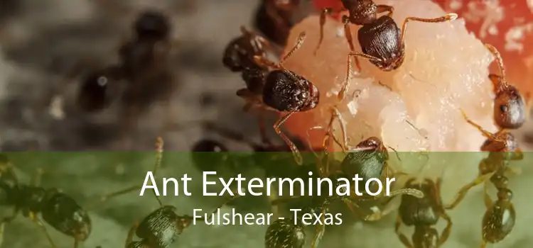 Ant Exterminator Fulshear - Texas