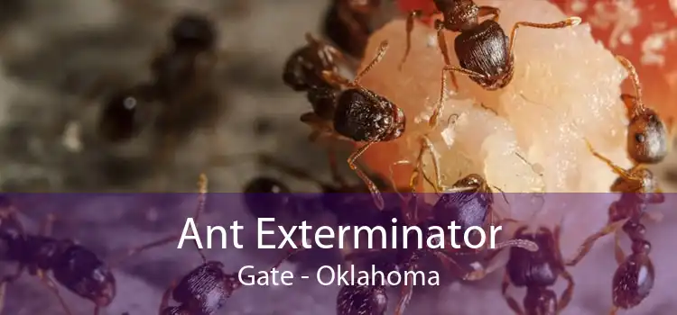 Ant Exterminator Gate - Oklahoma