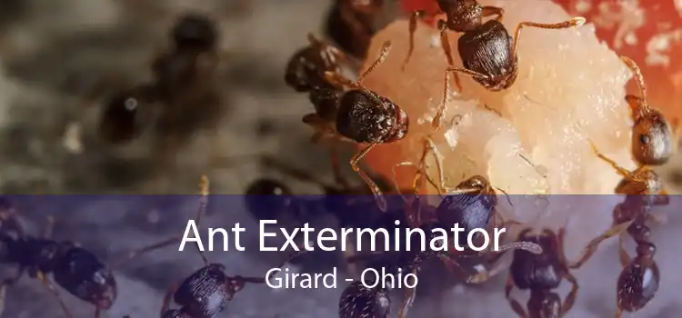 Ant Exterminator Girard - Ohio